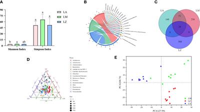 Role of the rhizosphere bacterial community in assisting phytoremediation in a lead-zinc area